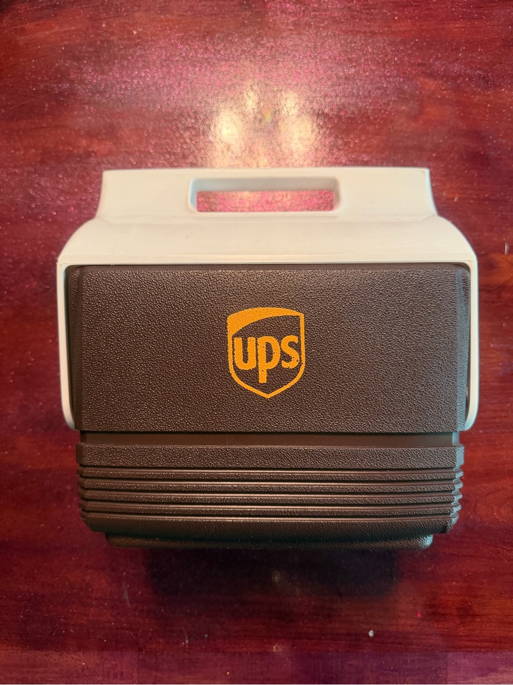 UPS Igloo Personal MiniMate Lunch Cooler
